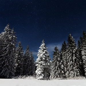 汝工作室视频原版
